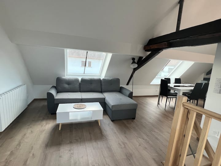 Appartement 4 Pièces Atypiques - Brumath