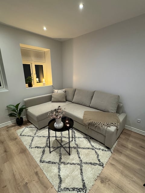 Townhouse in the center of Aalborg