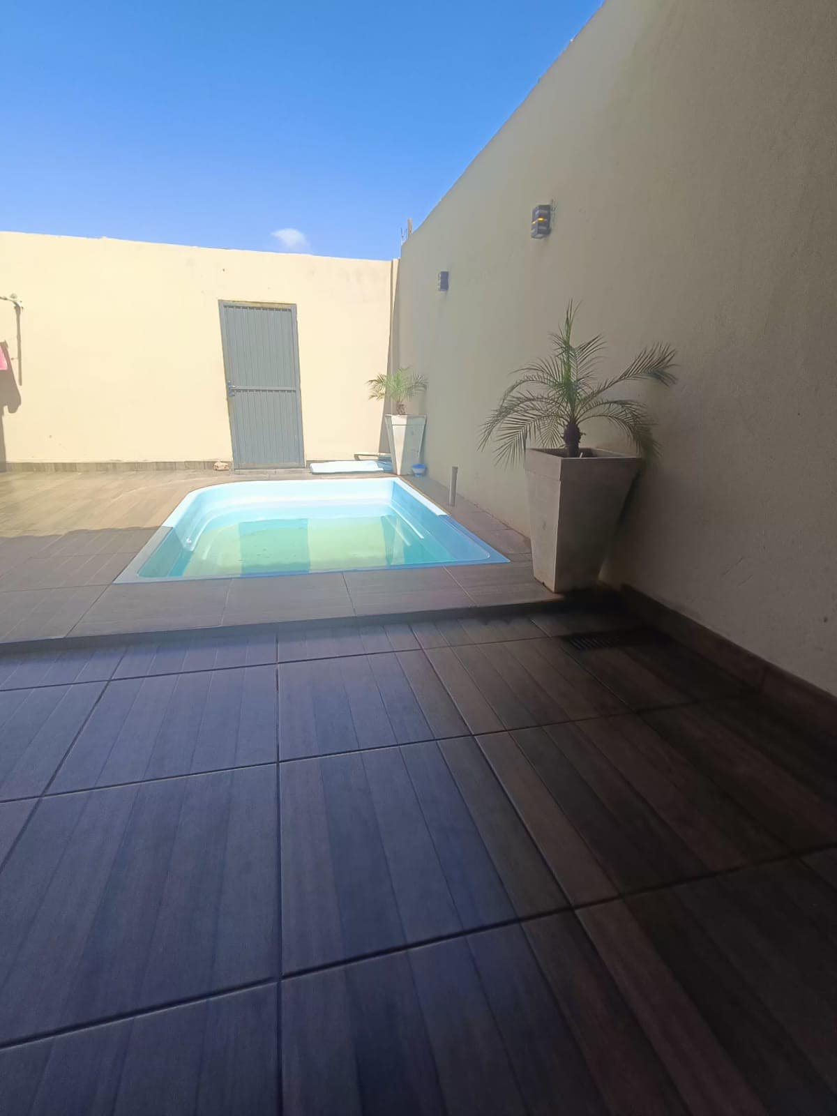 A private pool area is framed by smooth tiles and a light-colored wall. A potted plant adds greenery next to the pool, which is illuminated by natural light. The clear blue water invites relaxation under a bright sky.