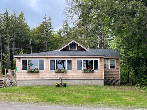 Cozy cabin on the lake!