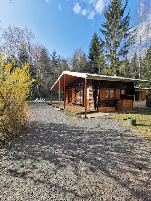 Chalet with private pond, nature, fishing, and biking near the Vosges