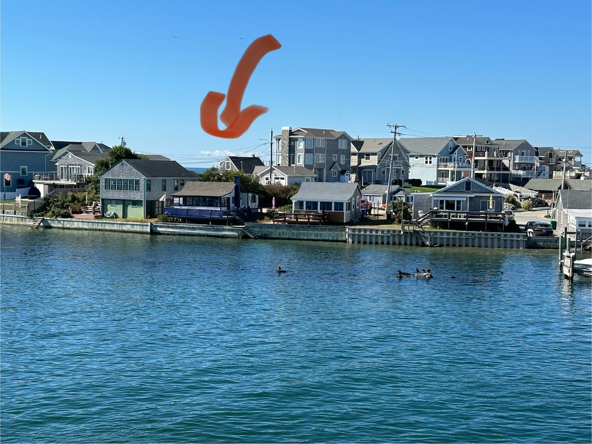 A waterfront view showcases various cottages along a serene, blue waterway. The image features multiple structures, each with different architectural styles, and a clear sky overhead. Ducks are seen swimming in the foreground, adding to the tranquil atmosphere of the setting.