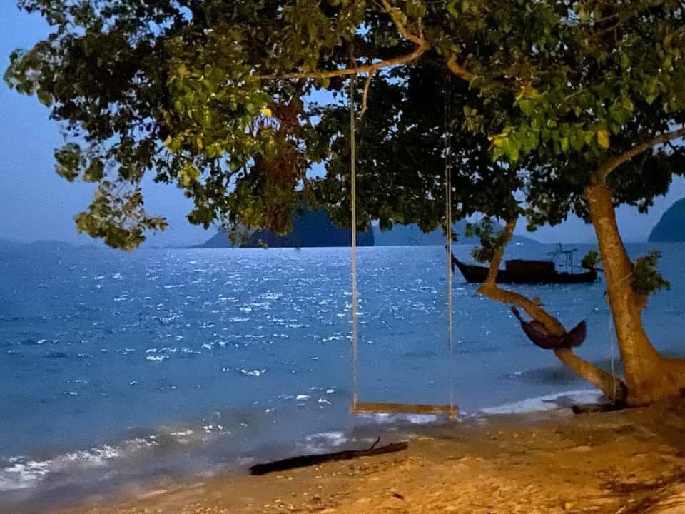 A gentle shoreline is captured at night, with soft waves lapping the sand. A tree branches overhead, hosting a swing and a hammock. The ocean reflects moonlight, creating a serene atmosphere. Distant mountains are faintly visible against the night sky, enhancing the peaceful setting.
