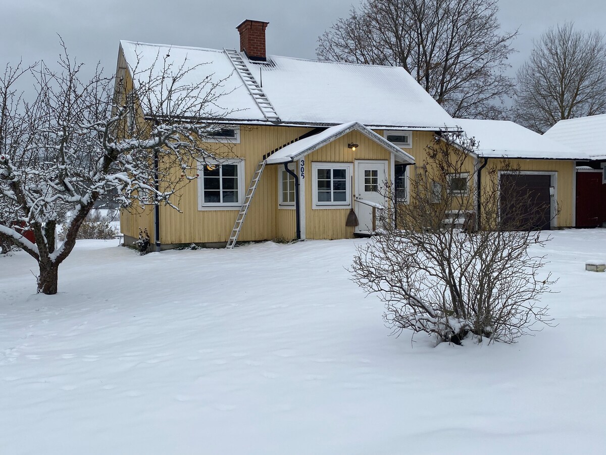 A charming two-story yellow house sits peacefully under a gray sky, surrounded by a blanket of fresh snow. The front features a ladder leaning against the side, and trees are dusted with white. A driveway leads to the attached garage, contributing to the serene winter scene.