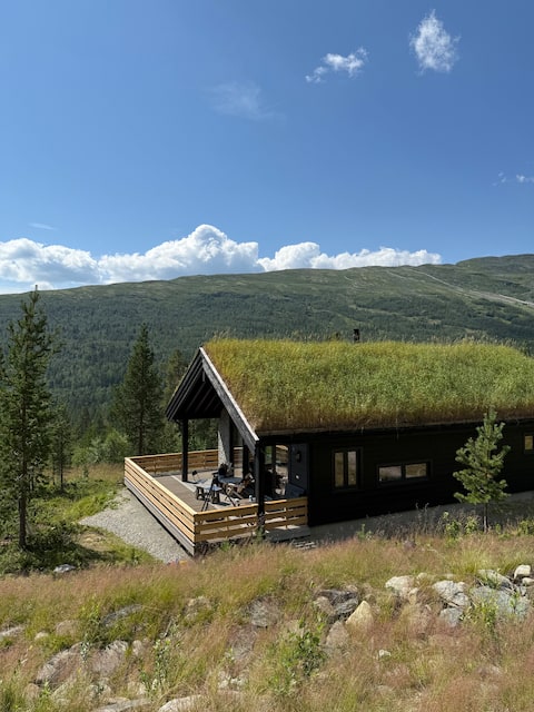 New cabin on Lemonsjøen - the gateway to Jotunheimen