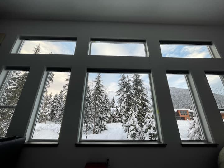 Cozy Girdwood Space with Alyeska View Houses for Rent in Girdwood