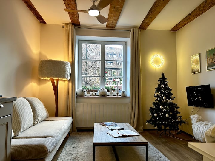 Dessine-moi Un Mouton ! 
4p-2br - Colmar