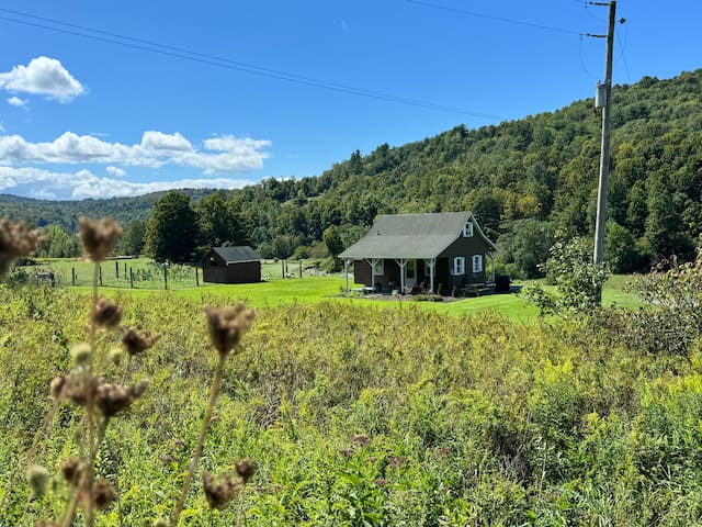 listing_image