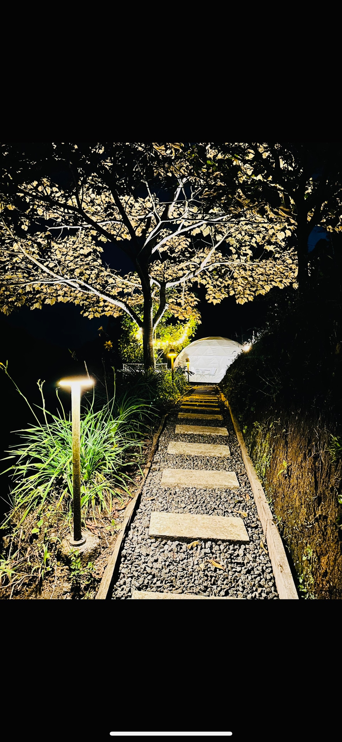 A softly lit pathway is lined with stepping stones and illuminated by ground-level lights. Tall grasses frame the path, which leads towards a white glamping structure surrounded by trees with leafy branches. The scene is set in a tranquil nighttime environment.