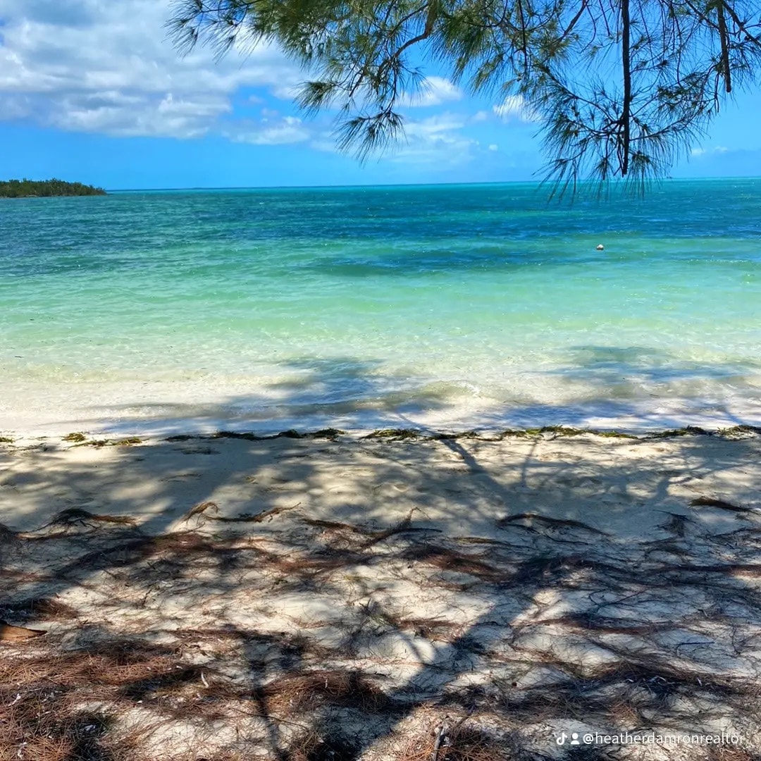 A serene beach scene is displayed, featuring clear turquoise waters gently lapping at the shore. The sandy beach, framed by soft shadows from overhanging trees, offers a tranquil atmosphere. Light clouds float over the expansive sky, enhancing the calm coastal environment.
