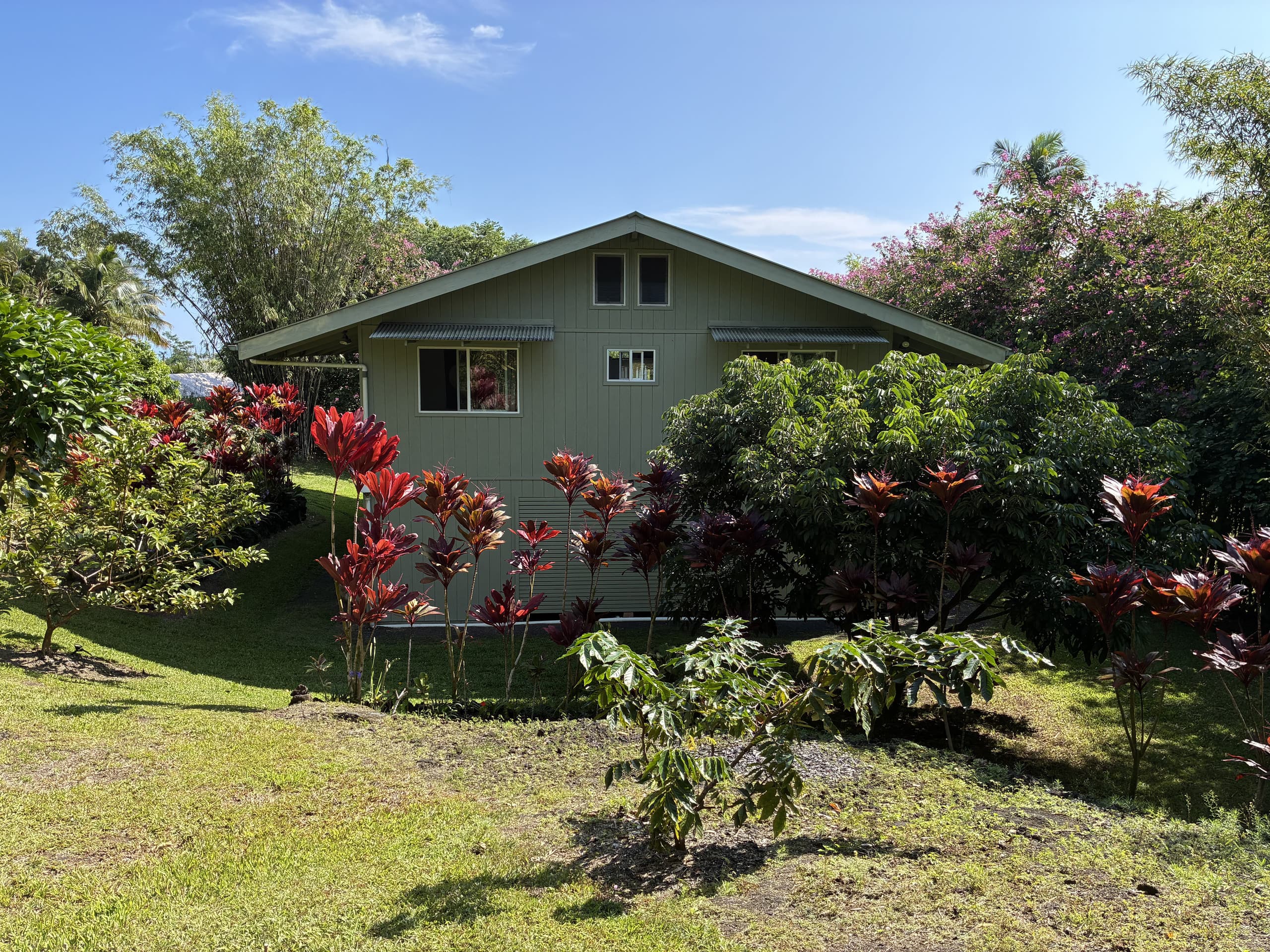 Ohana  Aloha - Photo 7