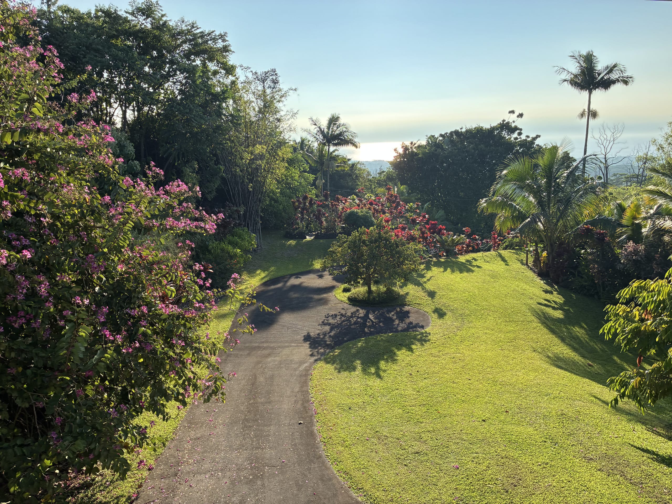 Ohana  Aloha - Photo 11