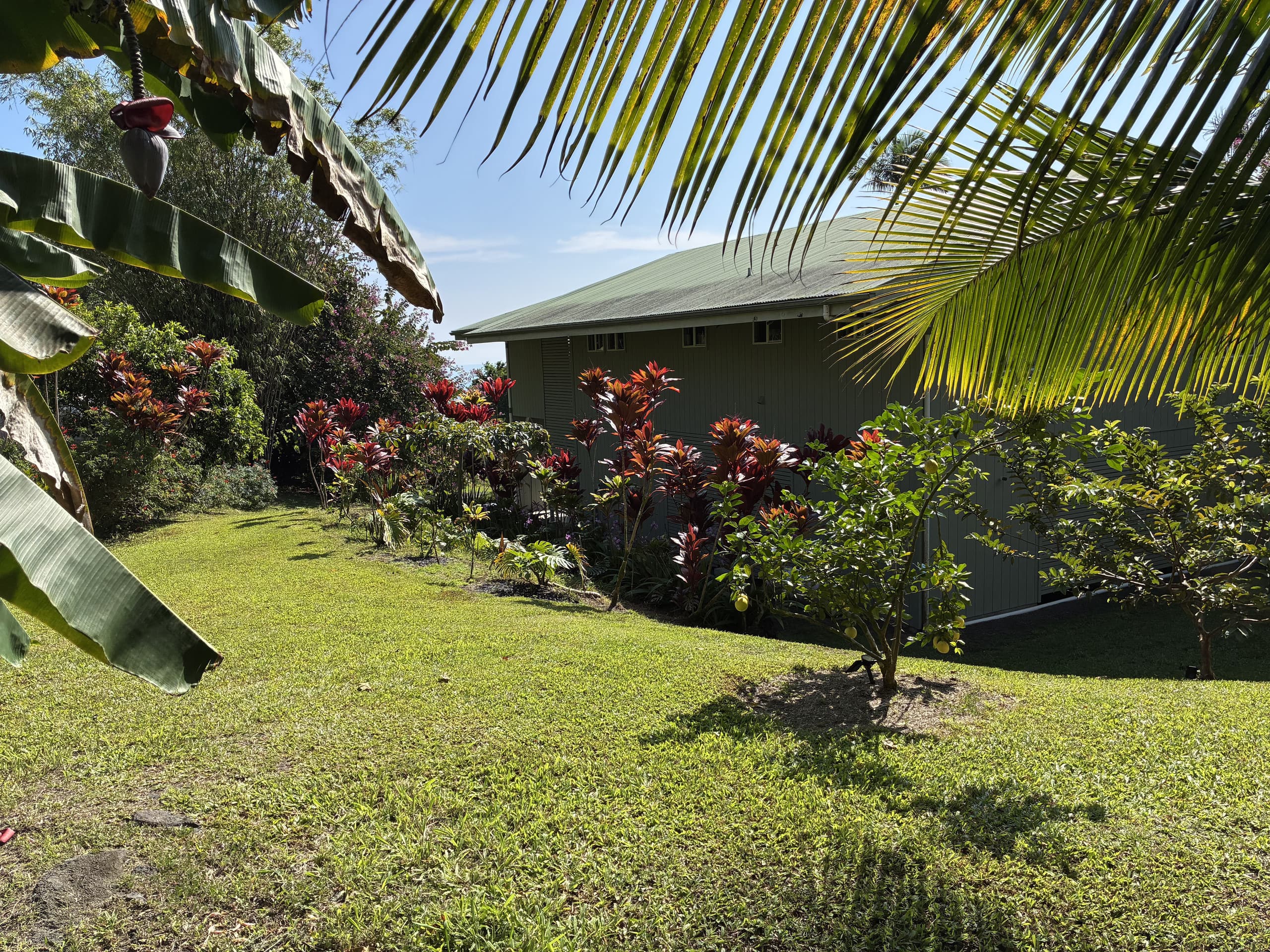 Ohana  Aloha - Photo 8