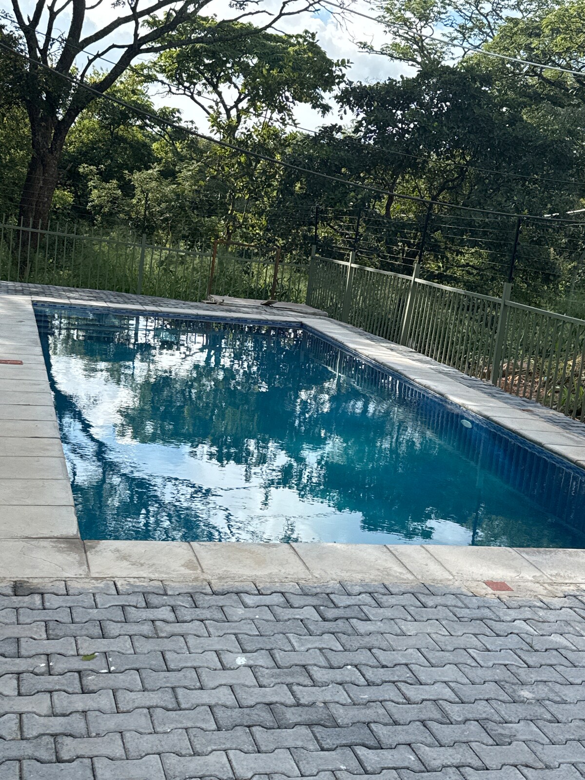A refreshing swimming pool is framed by a low fence and surrounded by lush greenery. Clear water reflects the sky above, while a smooth stone patio provides a spacious area for relaxation. Sunlight dapples the surface, creating a serene atmosphere.