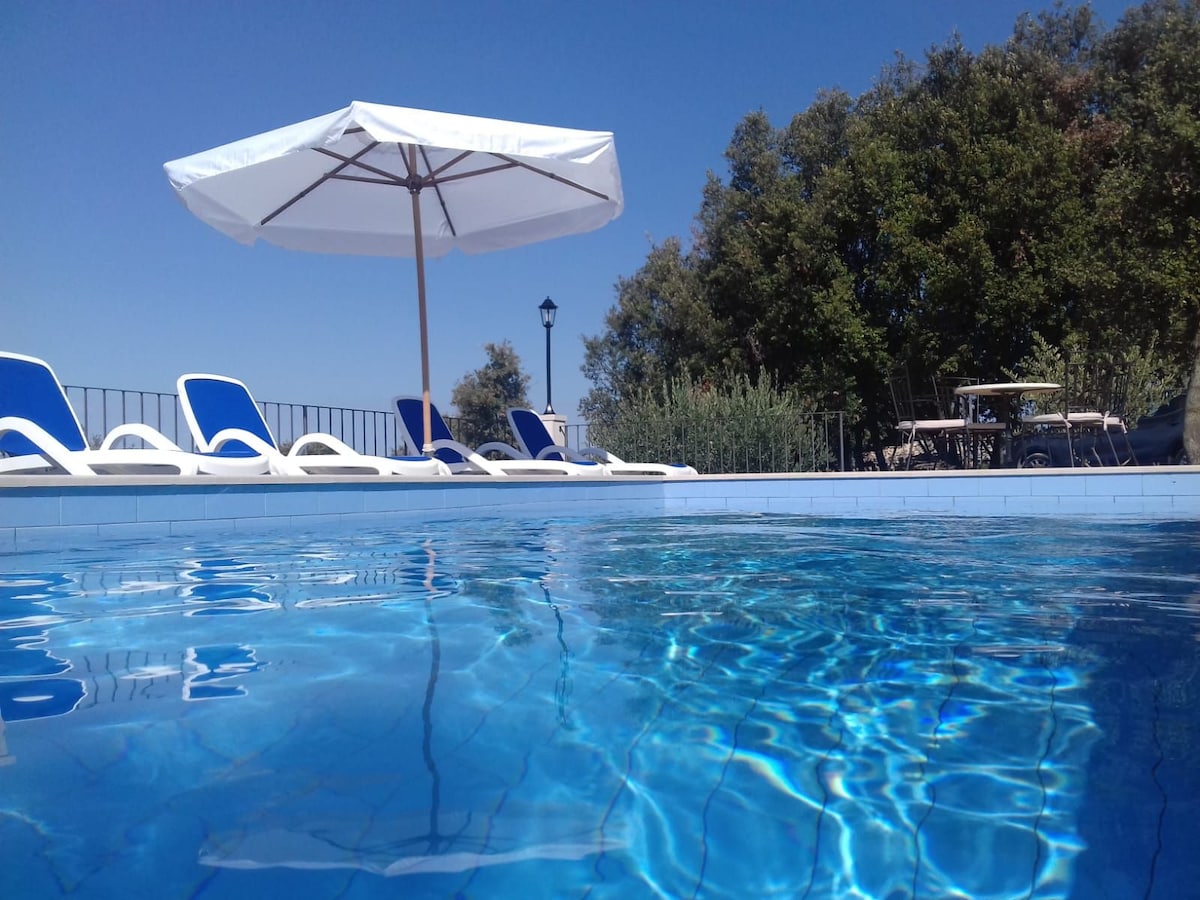 A serene pool area is depicted, showcasing clear blue water reflecting the sky. Lounge chairs in blue and white are positioned around the pool, accompanied by a large white umbrella. In the background, greenery and outdoor seating are visible, contributing to a tranquil outdoor setting.