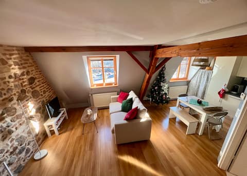 Turckheim Center, 10 min Colmar: Brand Tower