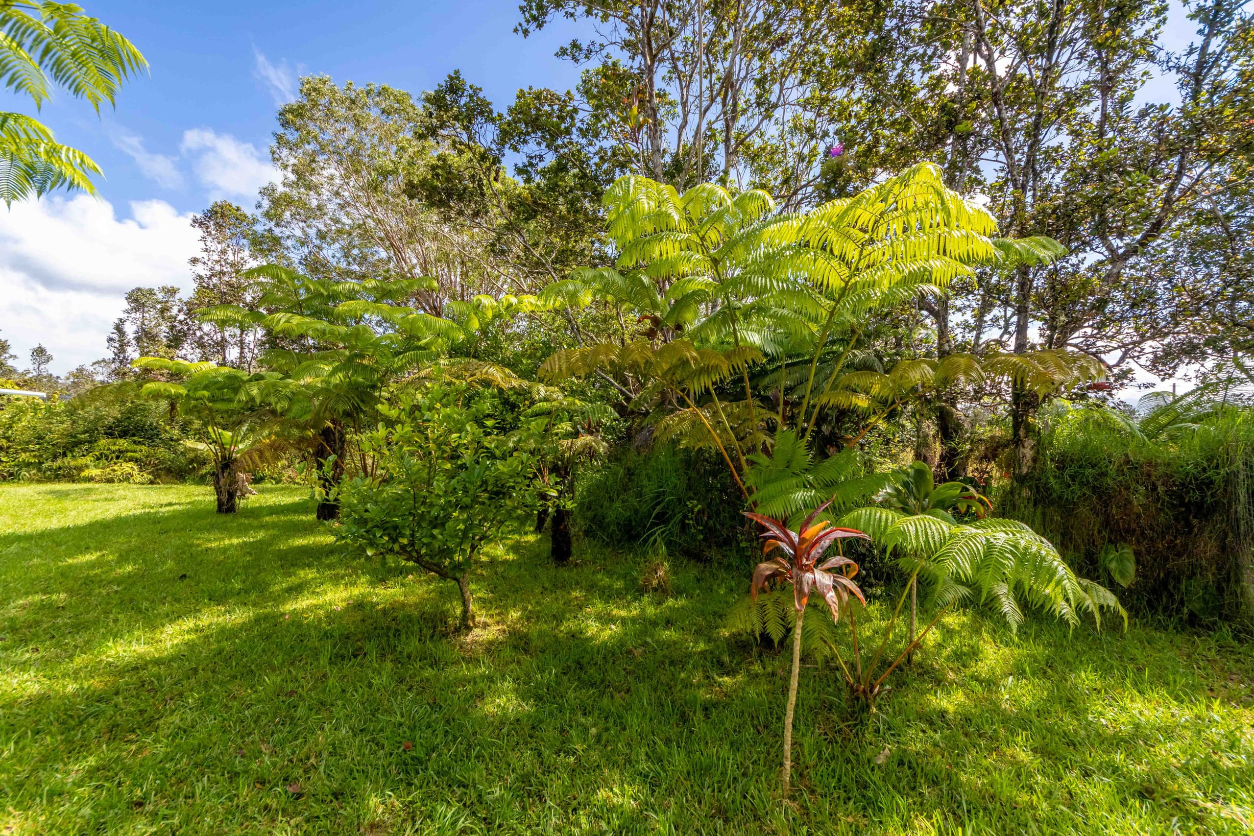 Home in Volcano · ★4.7 · 2 bedrooms · 3 beds · 1 private bath - Image 32