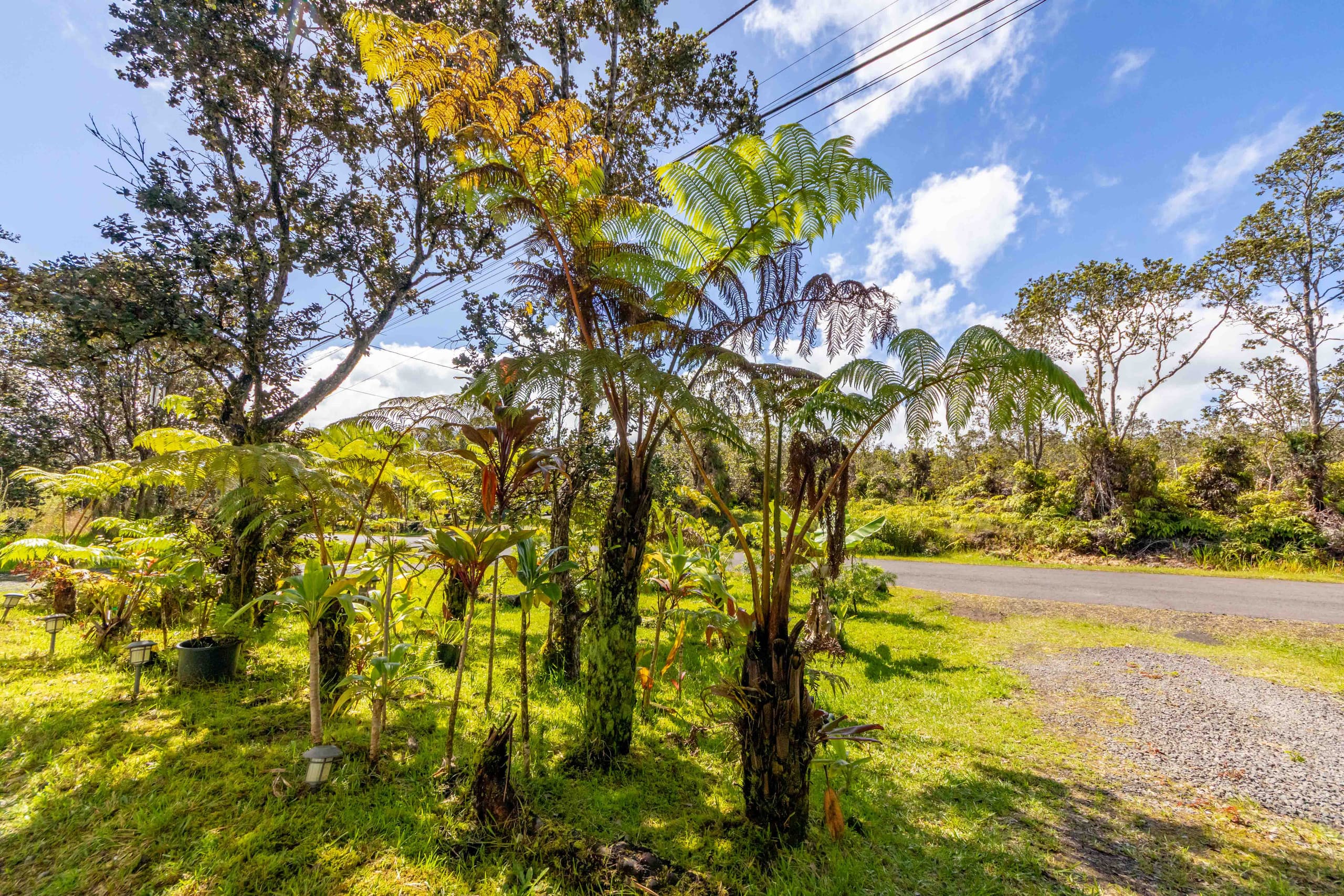 Home in Volcano · ★4.7 · 2 bedrooms · 3 beds · 1 private bath - Image 31