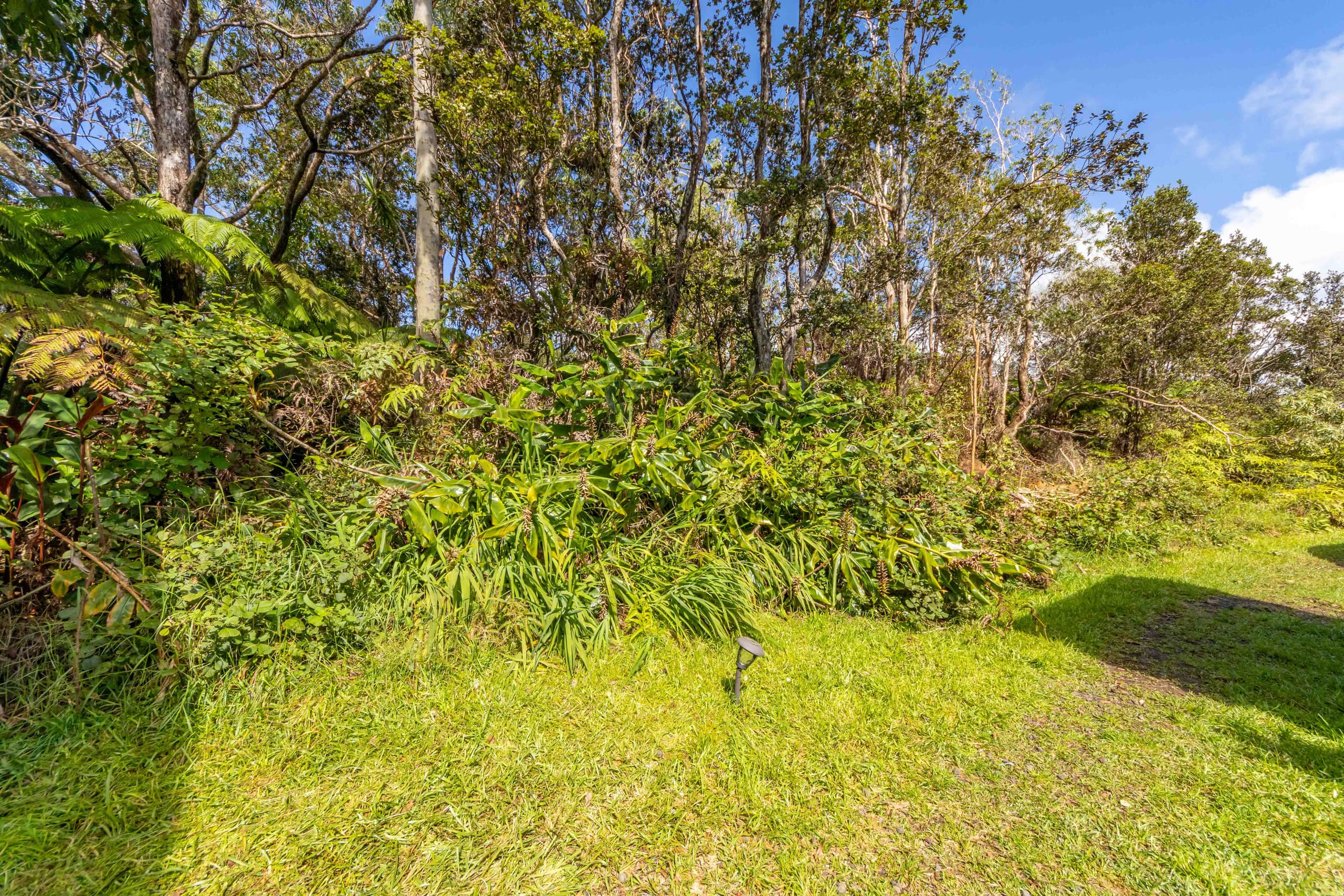 Home in Volcano · ★4.7 · 2 bedrooms · 3 beds · 1 private bath - Image 33