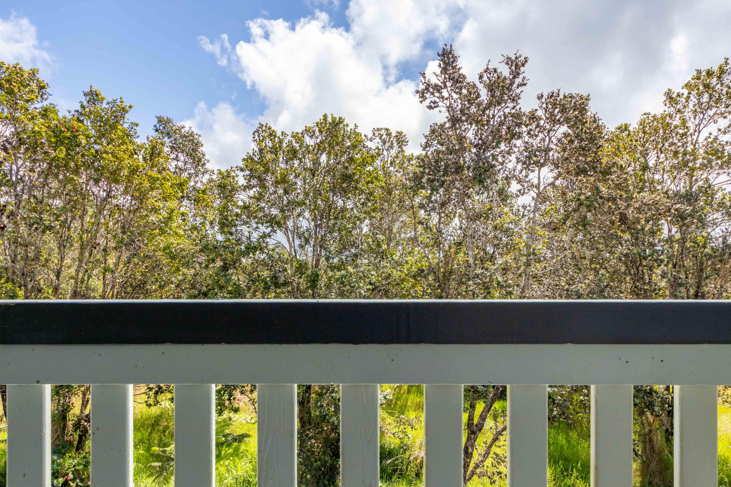 Home in Volcano · ★4.7 · 2 bedrooms · 3 beds · 1 private bath - Image 43