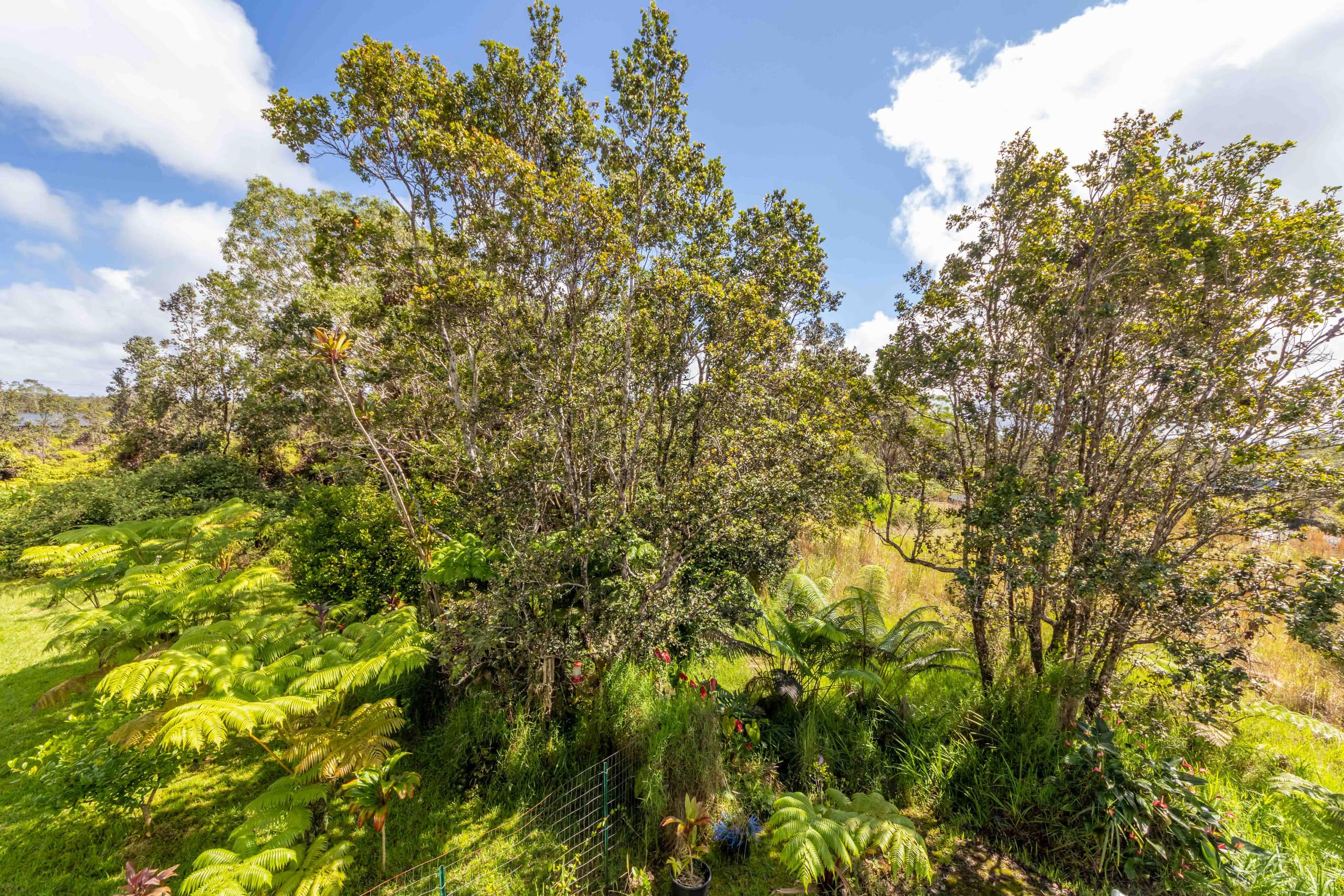 Home in Volcano · ★4.7 · 2 bedrooms · 3 beds · 1 private bath - Image 39