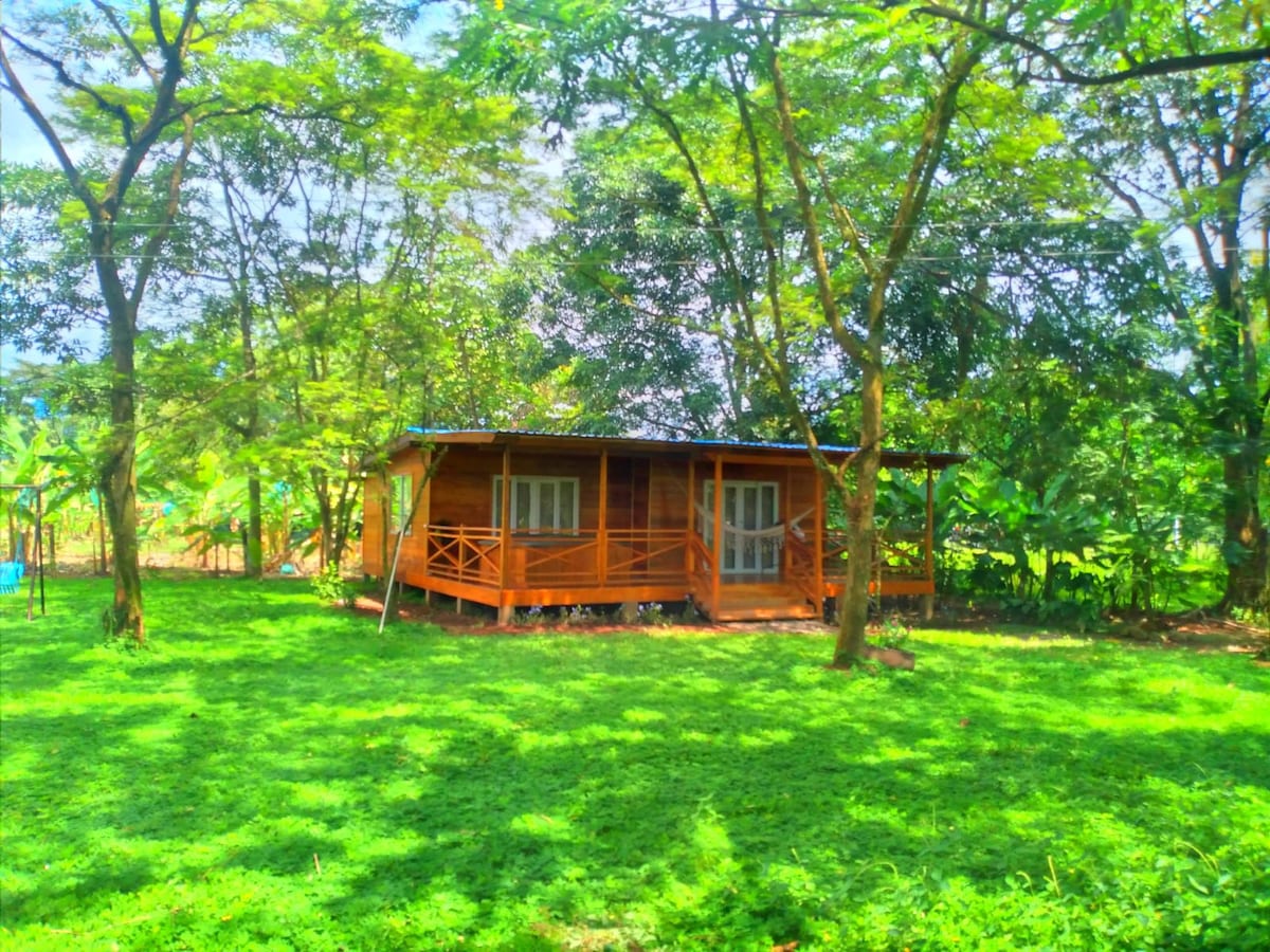 A wooden cabin is nestled within a lush green landscape, surrounded by tall trees. The cabin features large windows and a covered porch, providing a welcoming outdoor space. Sunlight filters through the leaves, casting natural patterns on the grassy area.