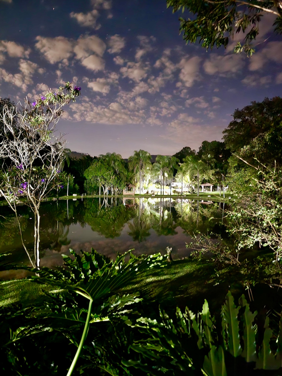 A serene nighttime landscape is depicted, featuring a calm body of water reflecting the clouds and surrounding greenery. Soft lights from structures nearby illuminate the scene, enhancing the tranquil atmosphere while trees and plants frame the view.