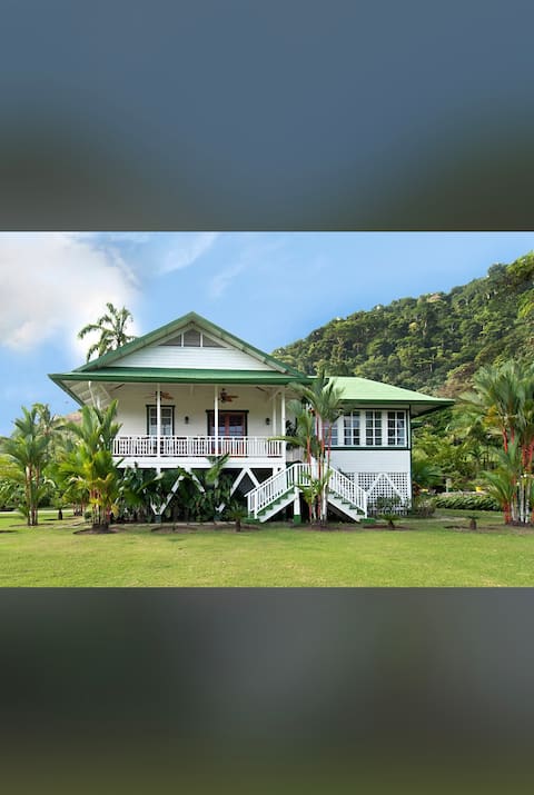 Beautiful house with private pool!