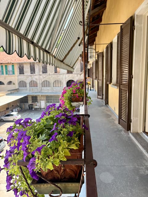 Apartment in the Marquisate