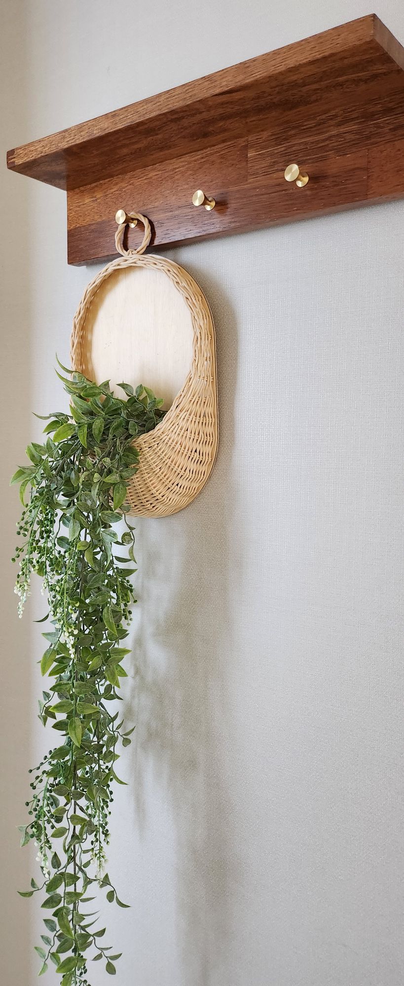 A woven basket is mounted on a wooden wall shelf, showcasing cascading greenery. The shelf features two round golden hooks, providing additional storage options. The background is a light, neutral-toned wall, enhancing the natural elements of the decor.