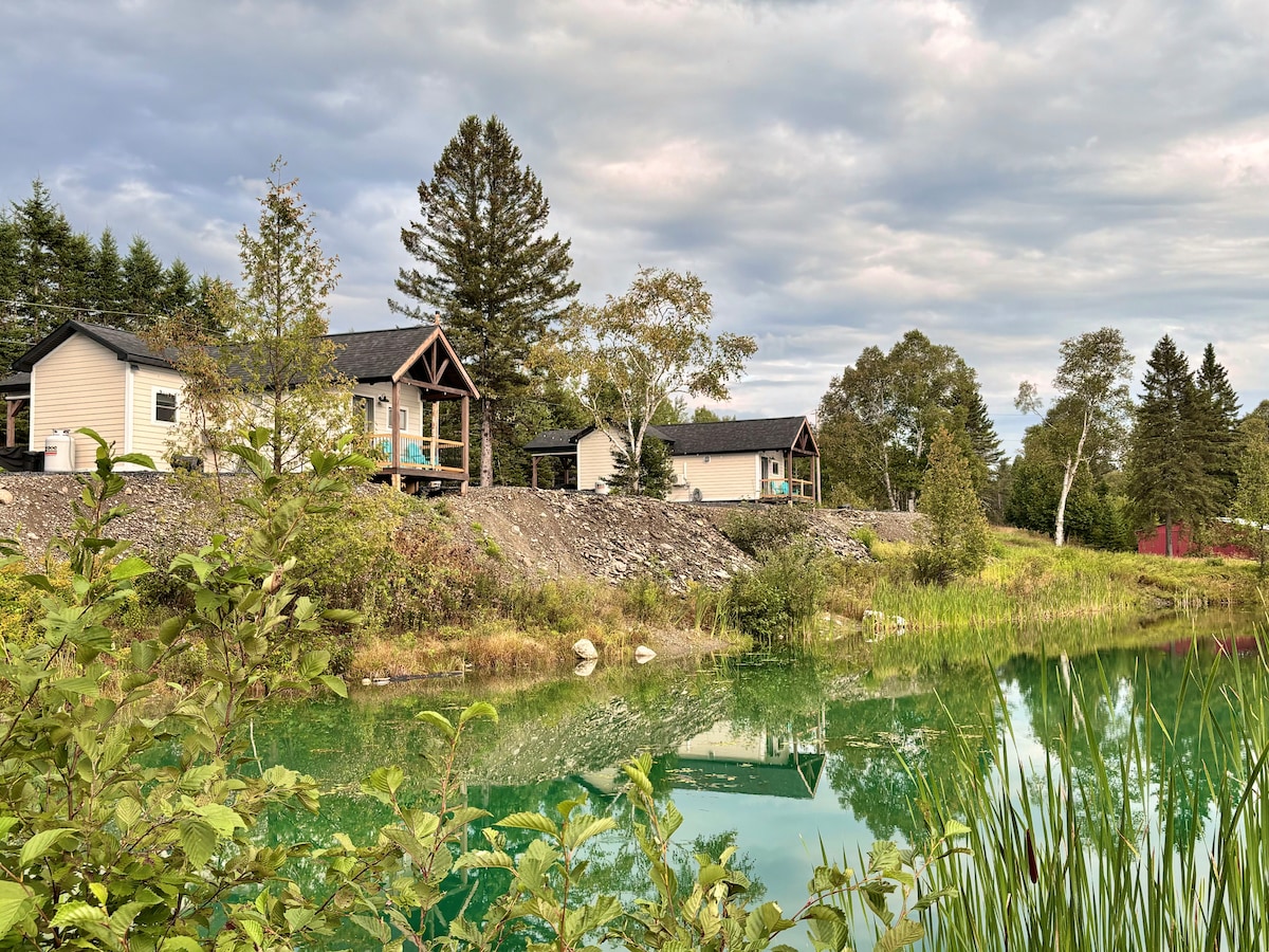 The view features a serene pond surrounded by lush greenery, with two cabins positioned on a gentle elevation. The natural landscape is enhanced by the calm water reflecting the overcast sky, creating a peaceful setting. Trees line the background, adding to the scenic atmosphere.