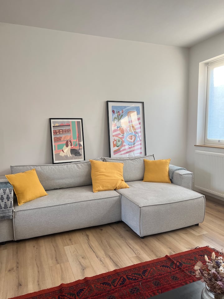 Bel Appartement Rénové Au Cœur De La Ville - Tournai