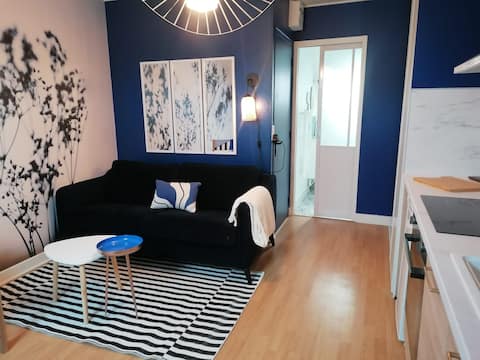 Nogent sur Seine hyper center 1/2p studio - Audace