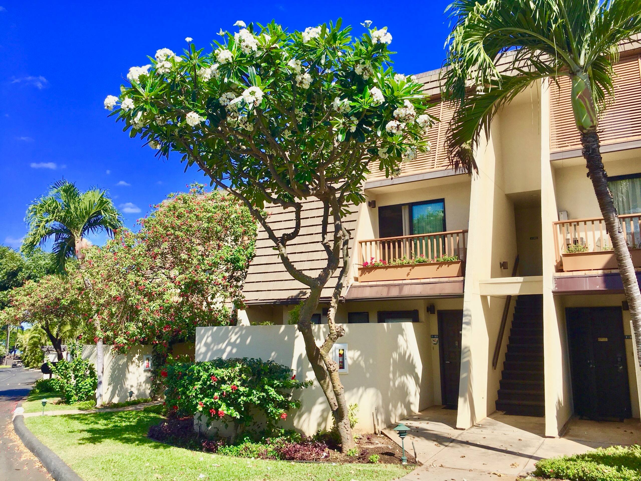 Condo in Kihei · ★4.91 · 2 bedrooms · 3 beds · 2 private baths - Image 2
