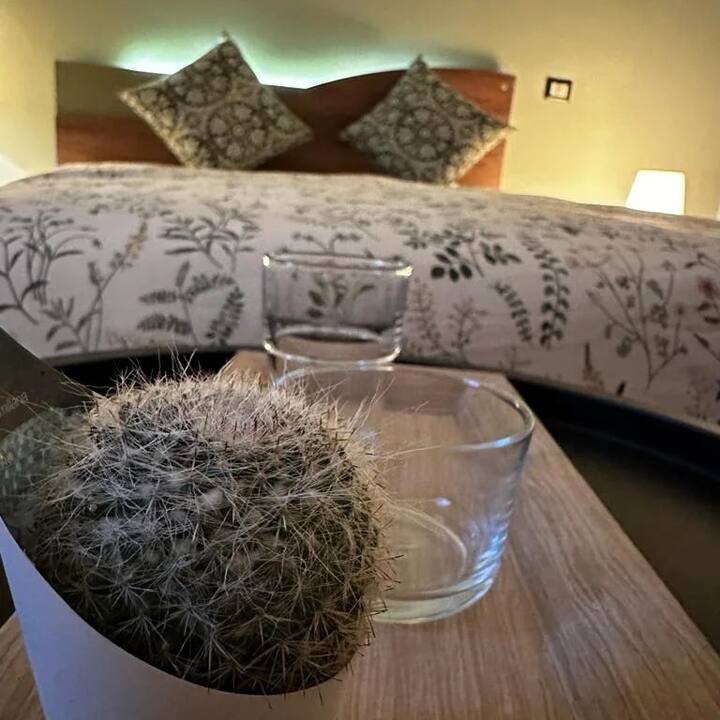 Habitación 2