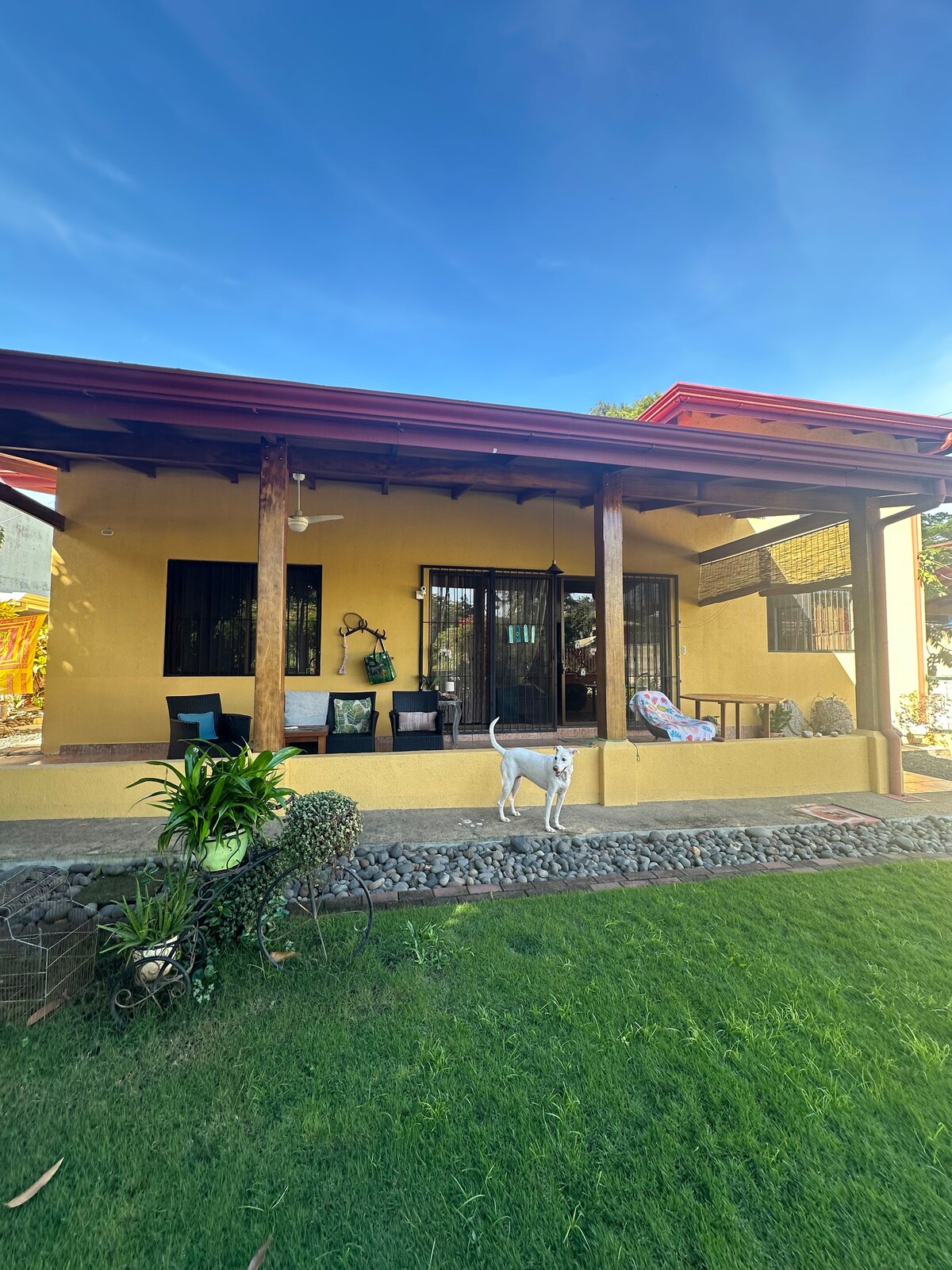 Pura Vida Stay | 10 Minutes from Coco Beach
