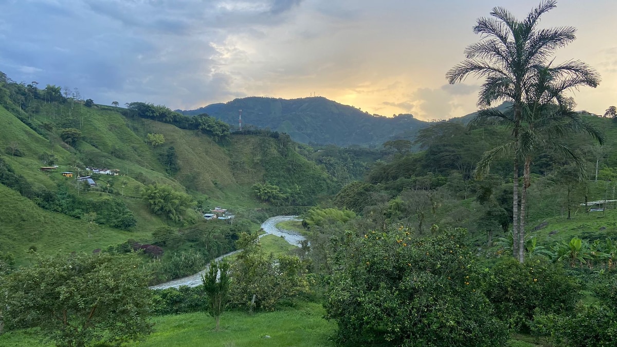 Lush green hillsides are featured in the image, cradling a winding river that reflects the soft hues of a setting sun. Dense trees and foliage border the landscape, creating a serene natural environment that highlights the beauty of the coffee cultural landscape.