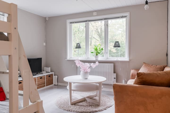 Стаята е оборудвана с удобно двуетажно легло, което спестява място и позволява лесни нощувки за двама или трима души. Има също разтегателен диван и телевизор. Тази стая е малко уединена от другите стаи.