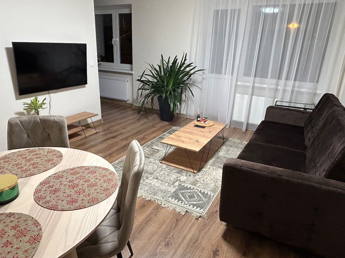 A spacious living area features a large television mounted on the wall and a comfortable, dark sofa facing a low wooden coffee table. A decorative rug lies on the floor, complemented by a round dining table with patterned placemats. Natural light enters through a nearby window.