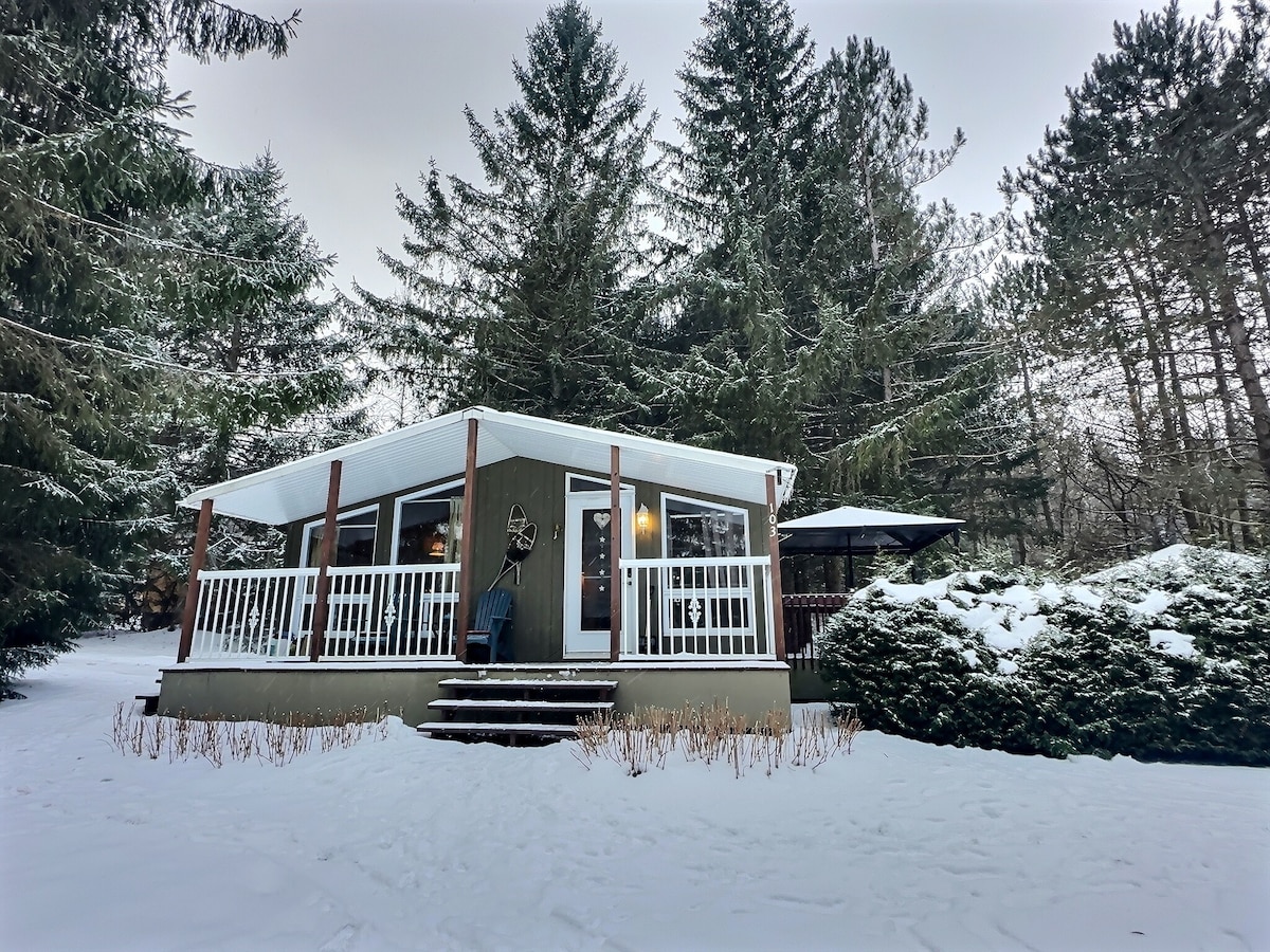 A cozy chalet is nestled among snow-covered trees, featuring a welcoming porch with white railings. The entrance steps lead to large windows that offer views of the serene winter landscape. A gazebo is visible on the side, surrounded by freshly fallen snow.