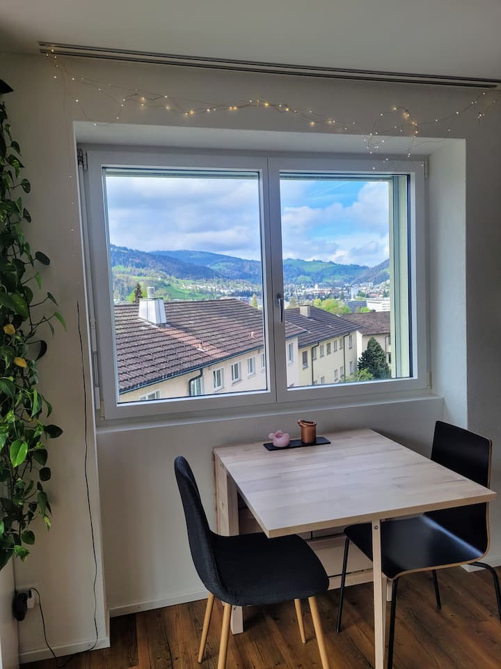 Spacious Private Room Close To Allmend/messe - Lucerne