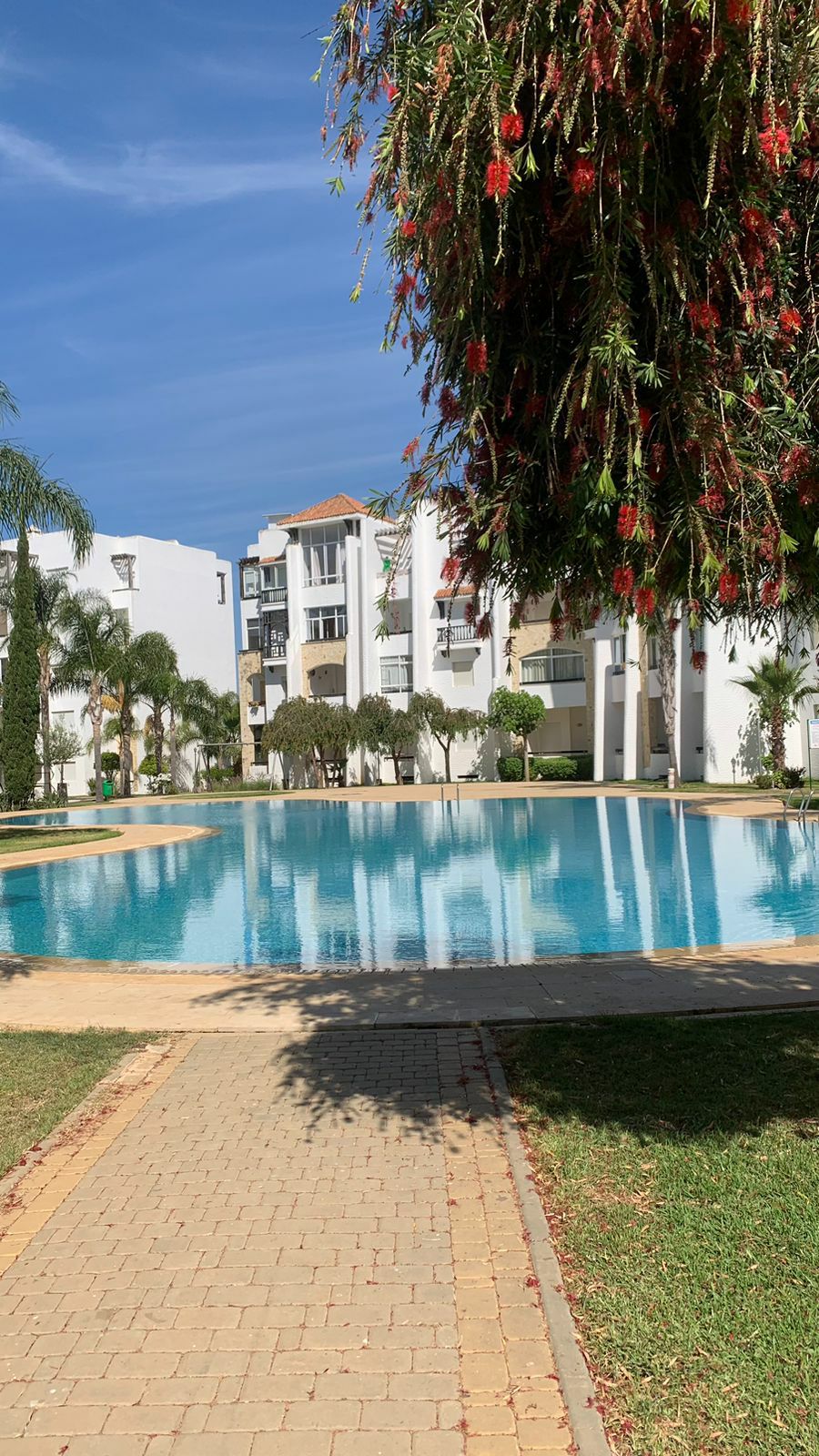 The image features a serene swimming pool framed by lush greenery. Palm trees and flowering plants surround the area, with white buildings in the background reflecting a peaceful atmosphere. A paved path leads alongside the pool, inviting relaxation and leisure.