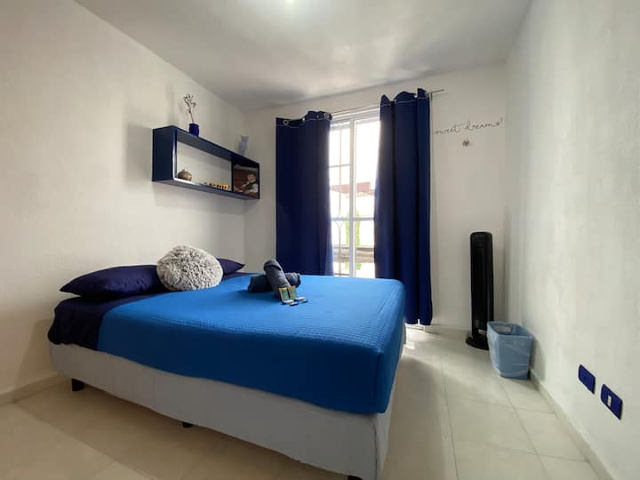 Blue House • Ideal Para Tu Bolsillo - México