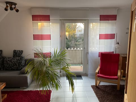 Top performing Airbnb: Spacious attic apartment in Hanau