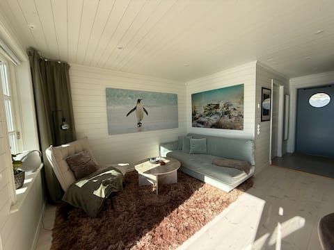 Successful Airbnb property: Stay by the sea with a private jetty in Orust
