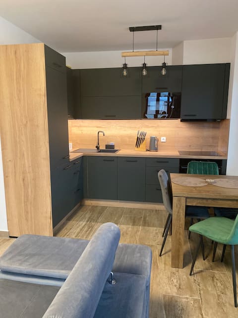 Apartment in Kašperské Hory