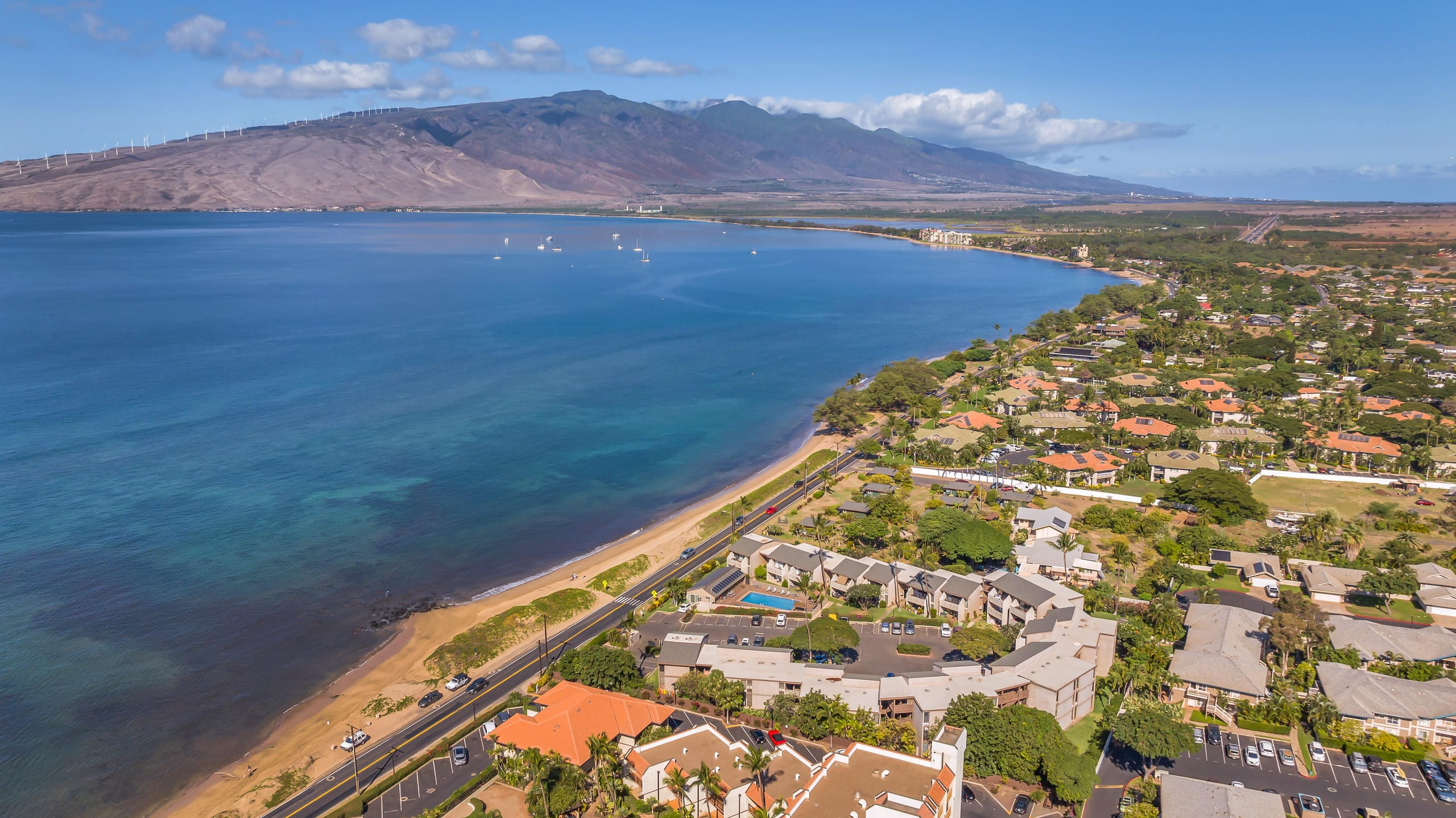 Condo in Kihei · ★4.83 · 2 bedrooms · 3 beds · 1 bath - Image 30
