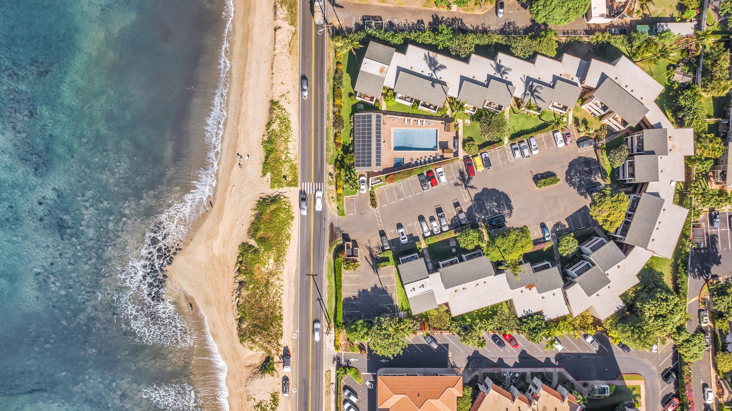 Condo in Kihei · ★4.83 · 2 bedrooms · 3 beds · 1 bath - Image 31