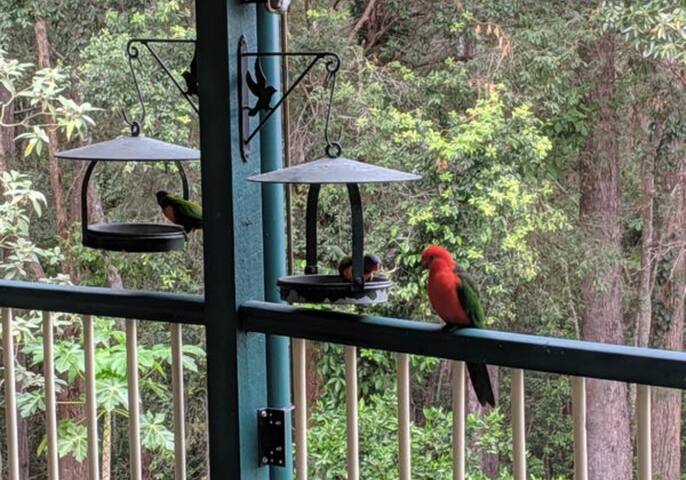 Forest abode gem near to beach! gallery image 5