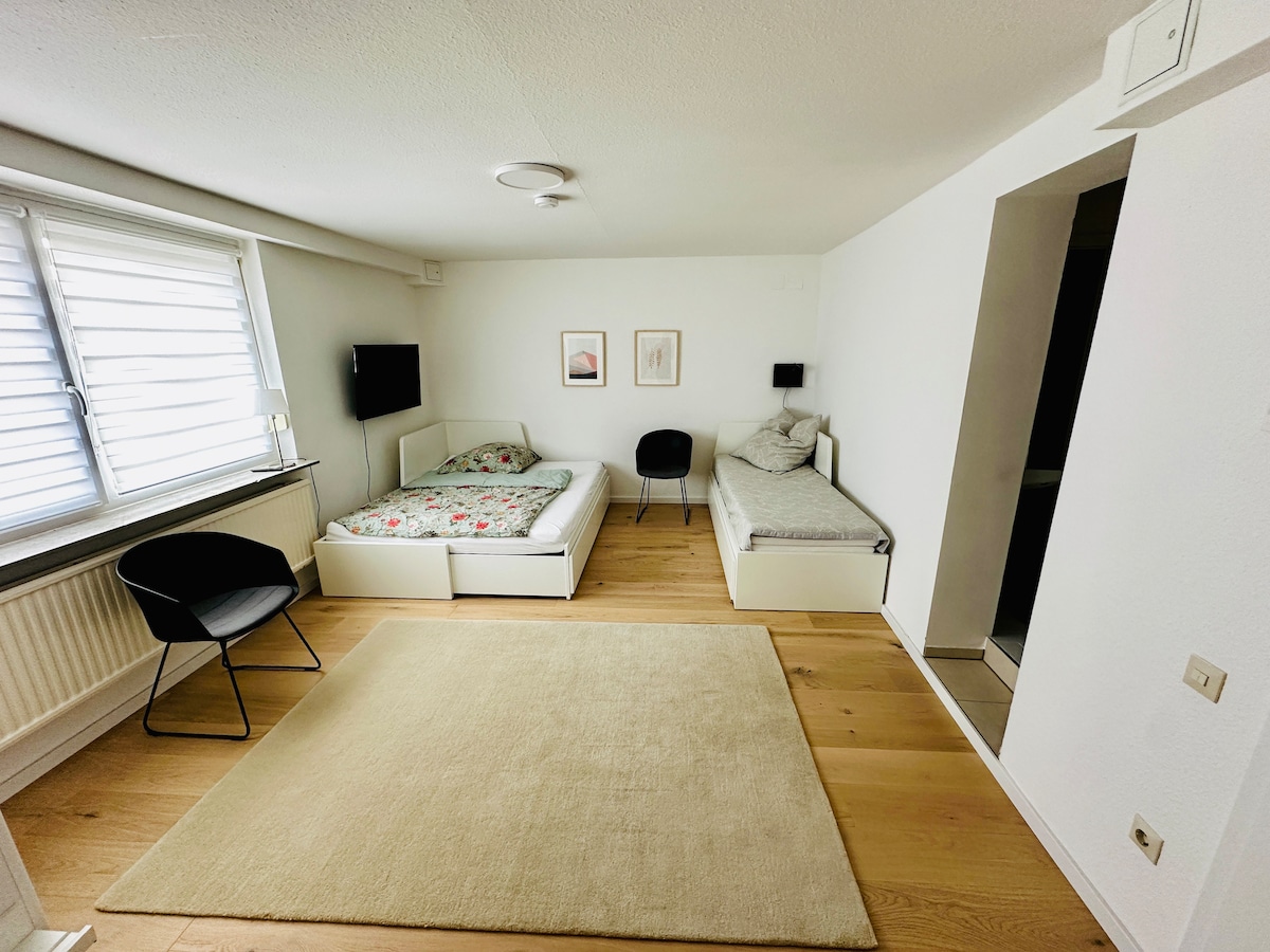 The bedroom features two individual beds, which can be transformed into a French double bed. A chair is positioned beside a window with adjustable blinds. A plush area rug is laid on the wooden floor, and wall art adds a subtle decorative touch.